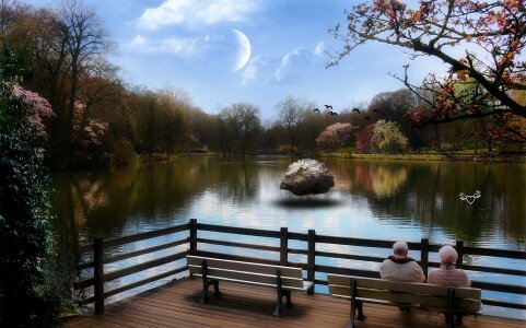 Reflection lake park photo