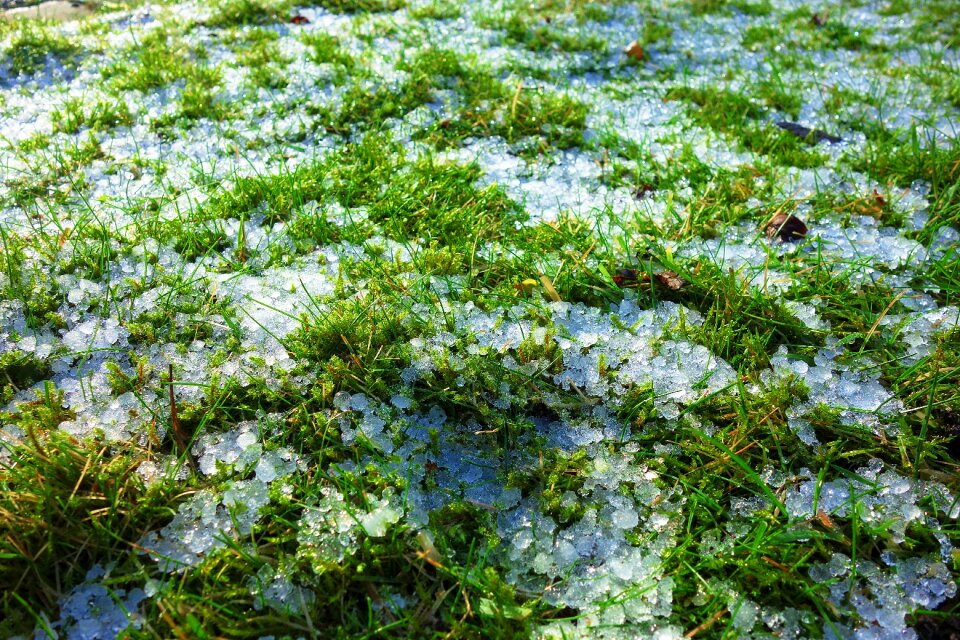 Ice crystals frost frozen