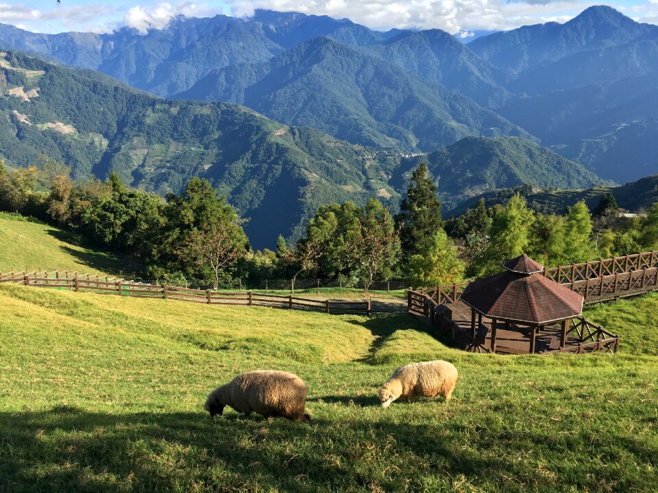 Lawn valley tourism