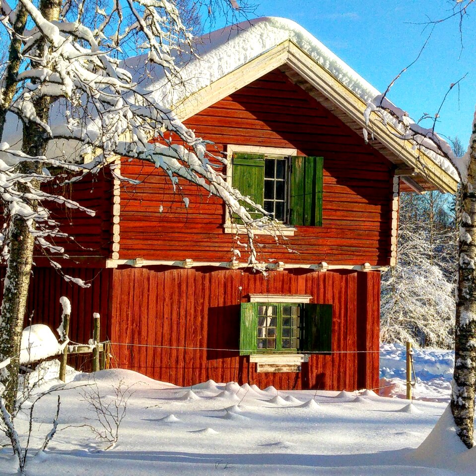 Window architecture chalet