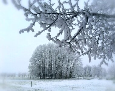 Landscape freezing rain frosted photo