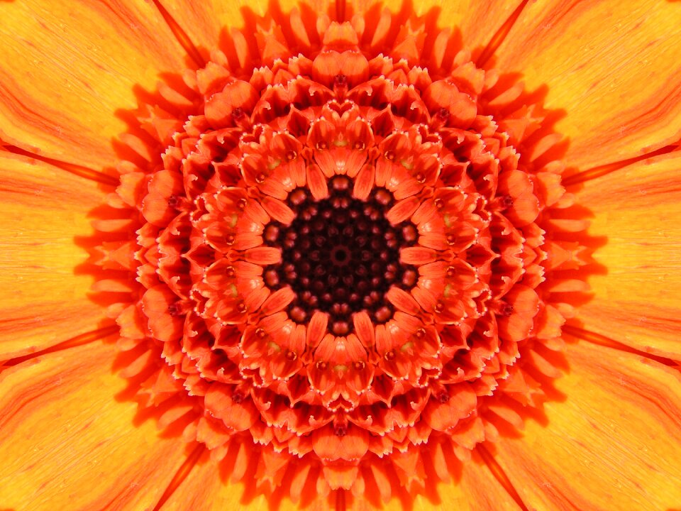 Summer floral color