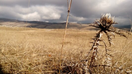 Field sky