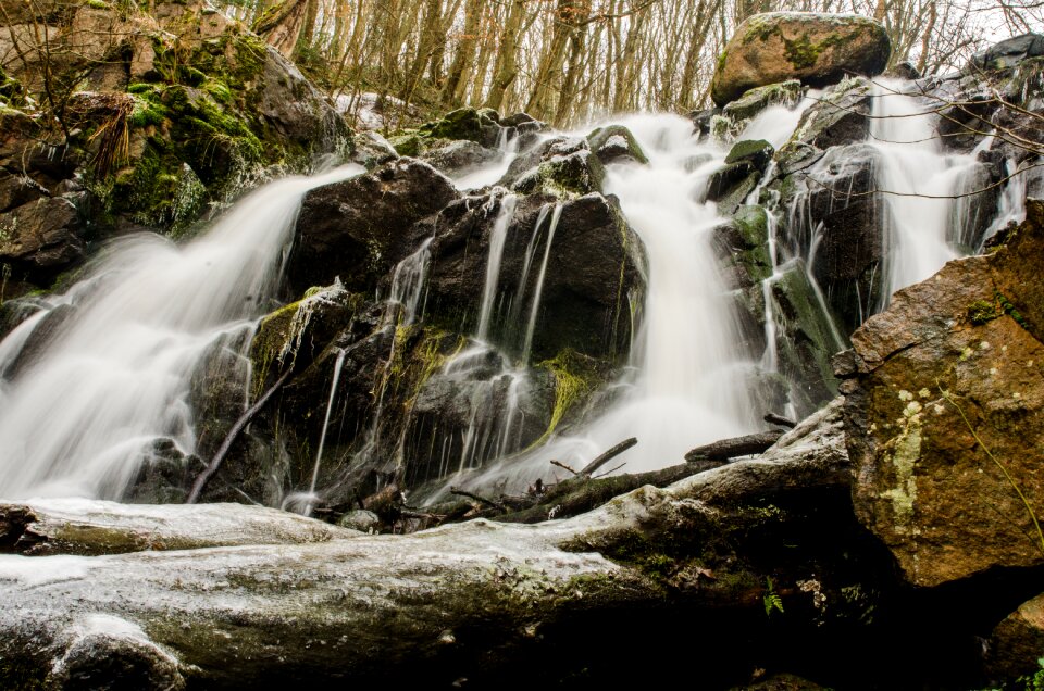 Nature river forest photo