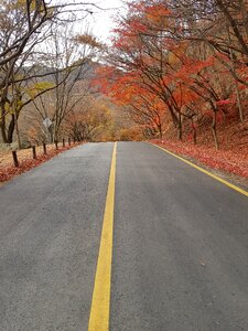 Wood street nature