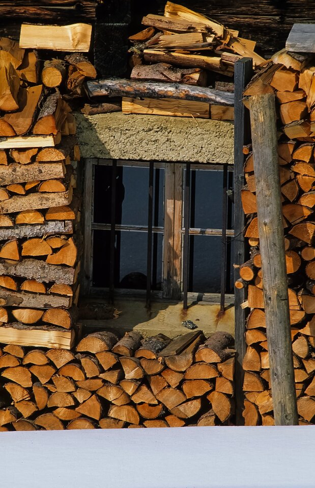 Firewood wooden