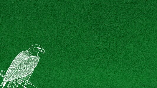 Background wall backgrounds