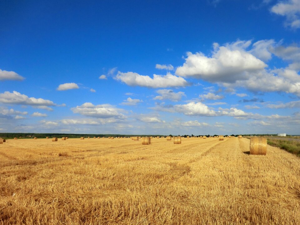 Agro-industry straw sky