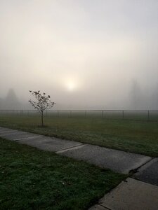 Landscape outdoors