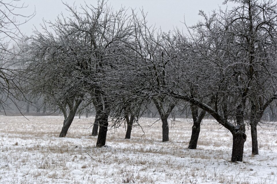 Frost season landscape