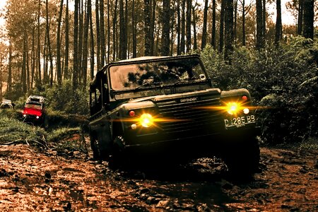 Vehicle tree road