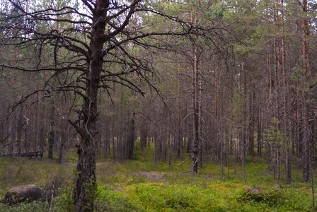 Landscape outdoors environment