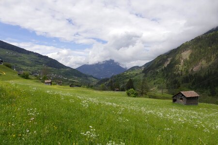 Grass panorama meadow photo