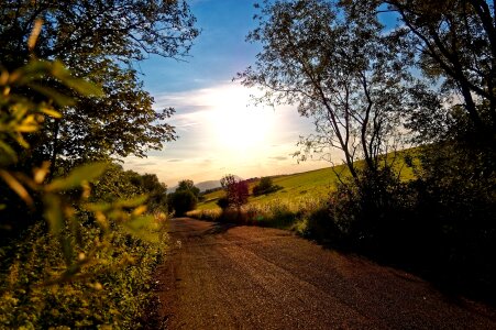 Rays landscape path