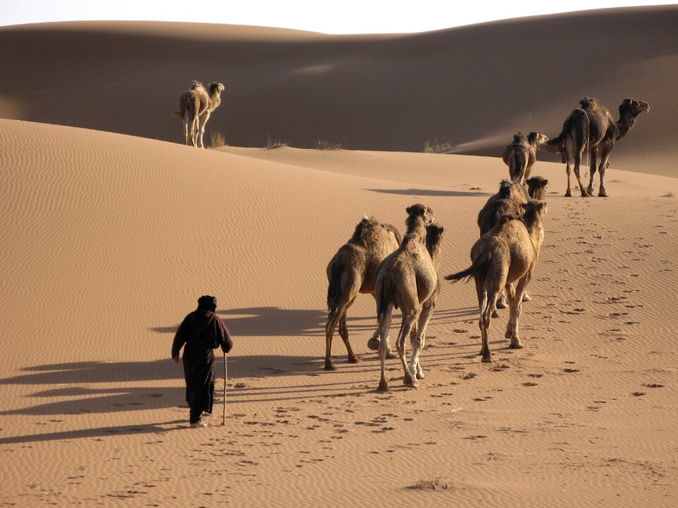 Caravan campaign berber