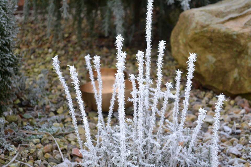 Cold snow singing bowl