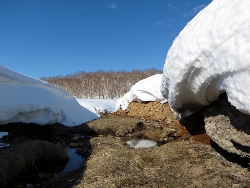 Creek forest back on track