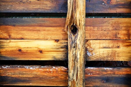 Grain knot blonde wood
