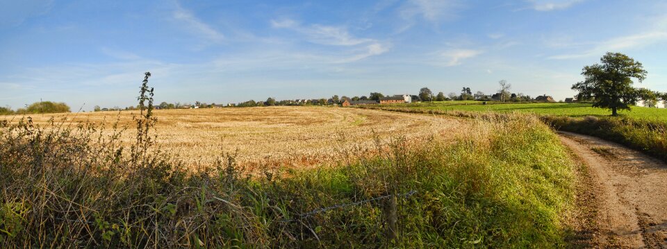 Field sky summer photo