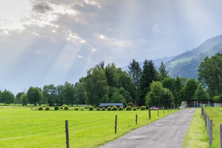 Grass landscape sky photo