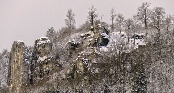 Ripe snow tree
