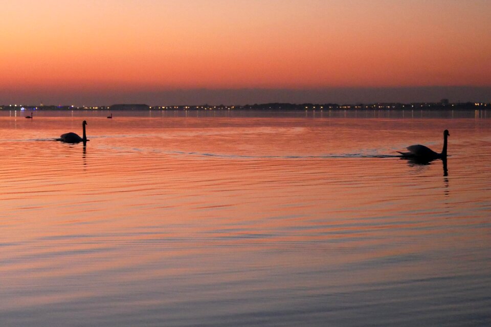 Twilight body of water evening