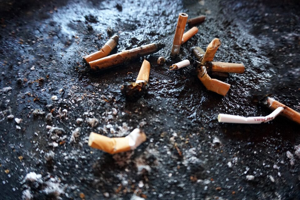 Put in danger nicotine butts