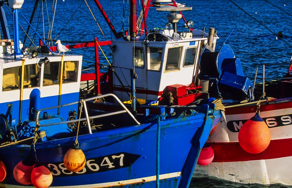 Sea watercraft boat