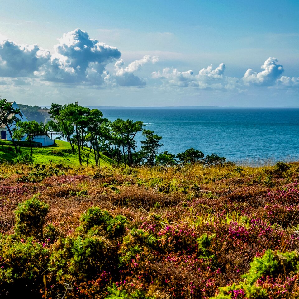Landscape body of water beach