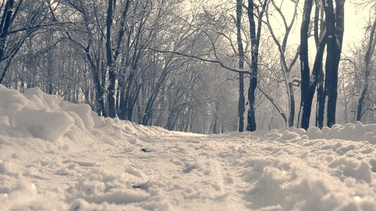 Footprints path slovakia