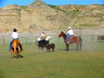 Seated livestock farm