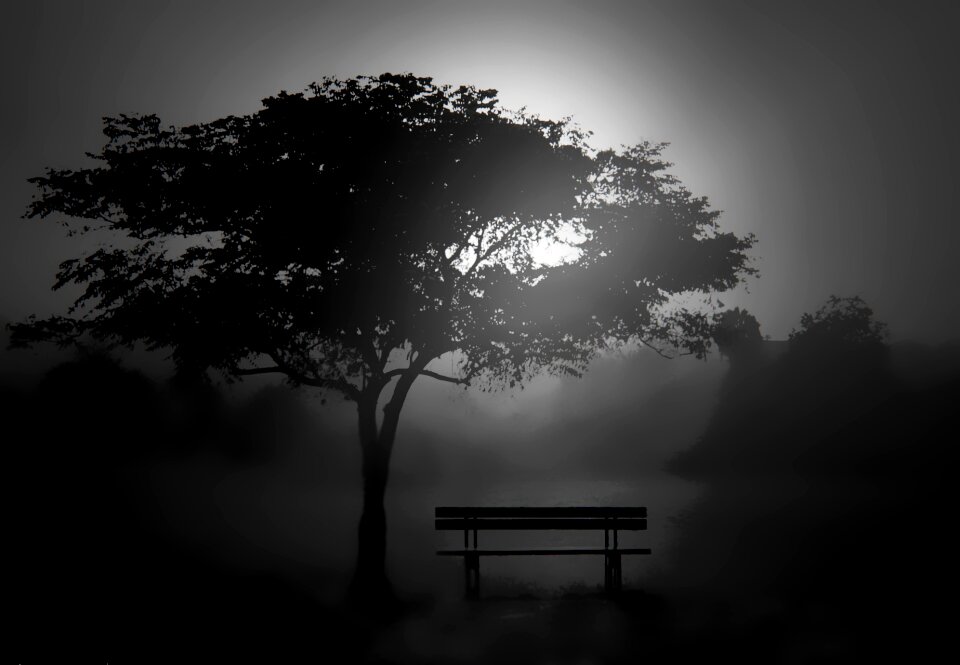 Fog sunset black and white