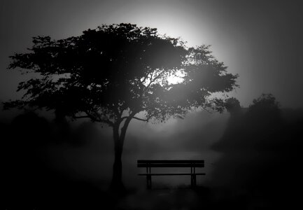 Fog sunset black and white photo