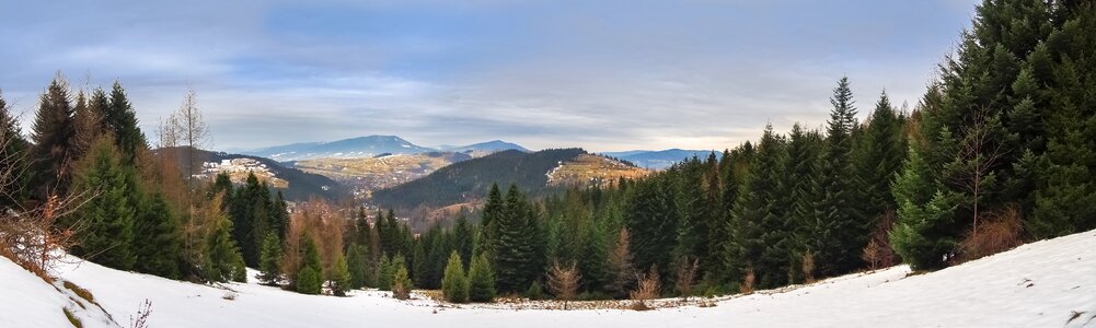 Snow winter nature