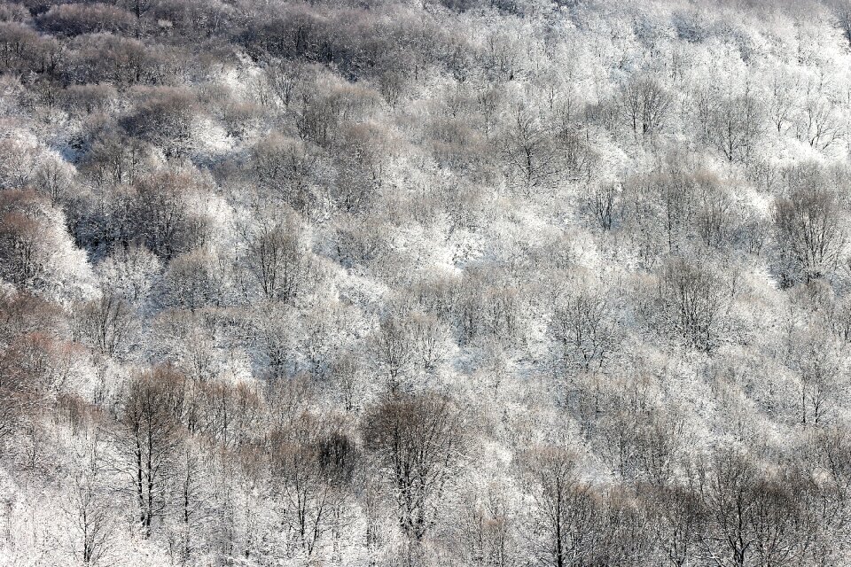 Landscape nature winter photo