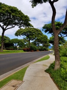 Outdoors guidance sidewalk