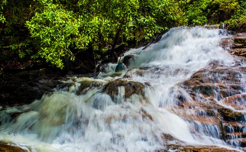Stream river cascade photo