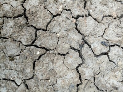 Rough dry gray earth
