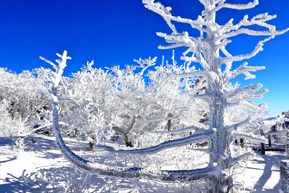 Winter cold winter kingdom