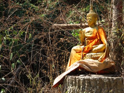 Ganeša buddhist temple wat pha lat photo