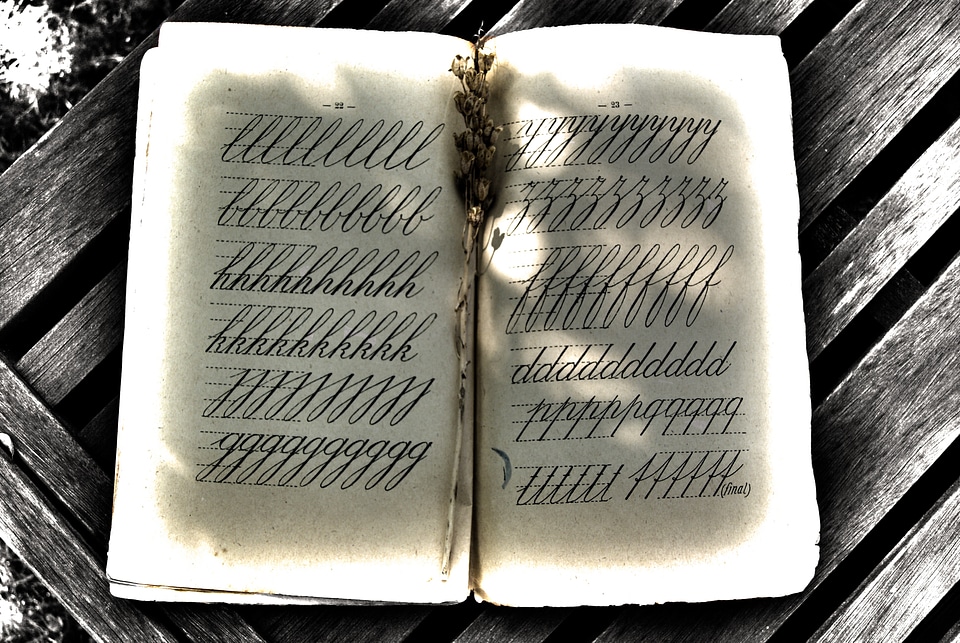 Old book black and white review