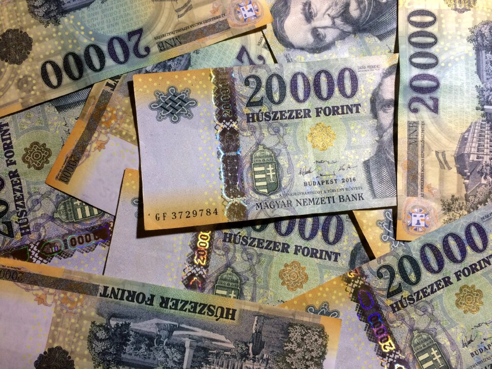 Huf background banknote