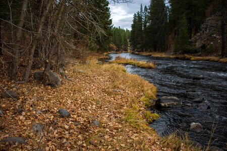 Outdoors tree river photo