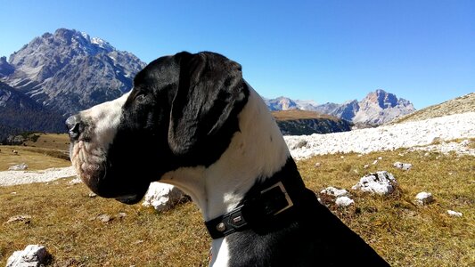 Dolomites the auronzo valley south tyrol photo