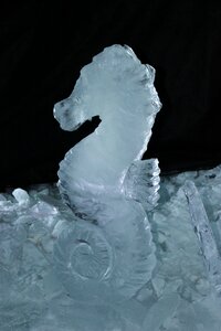 Ice grasshopper statue