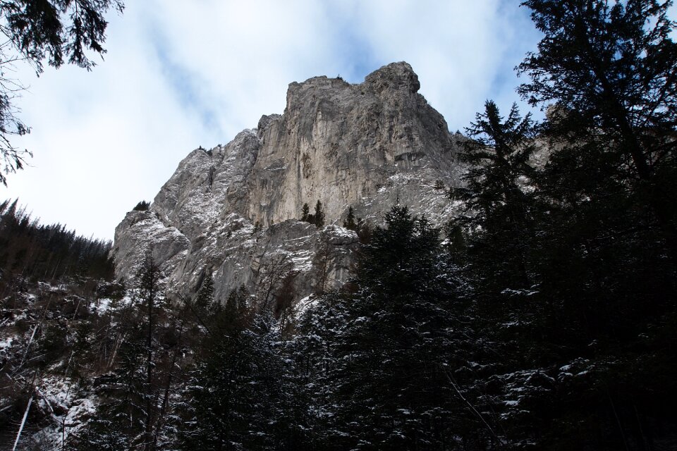 No one mountain at the court of