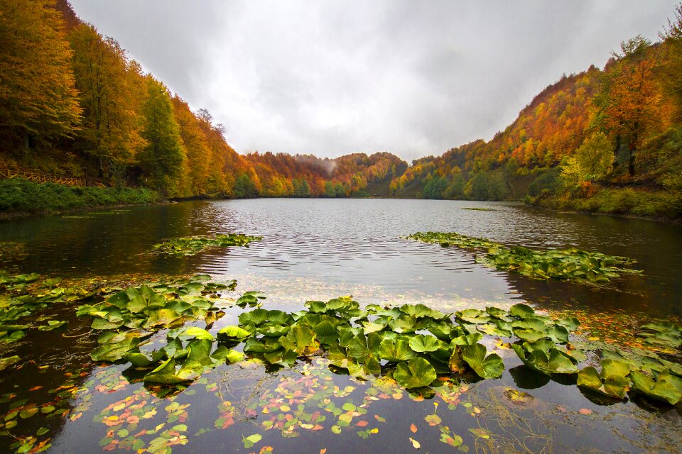 Reflection the army of the lake ulubey
