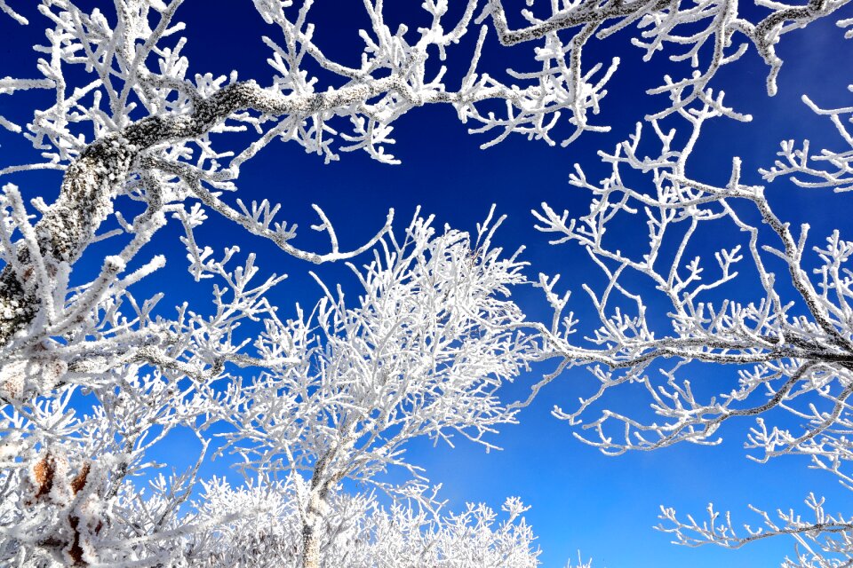 Snow cold season