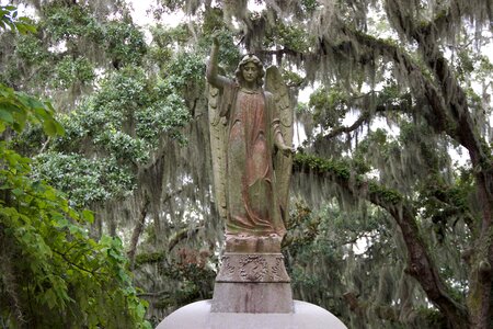 Old park savannah