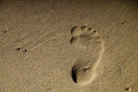 Sand footprint beach photo